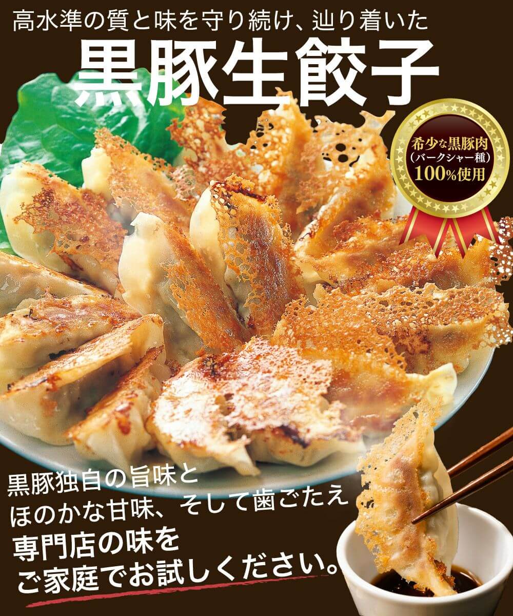 黒豚生餃子 60個(15個入×4パック) 【送料込】