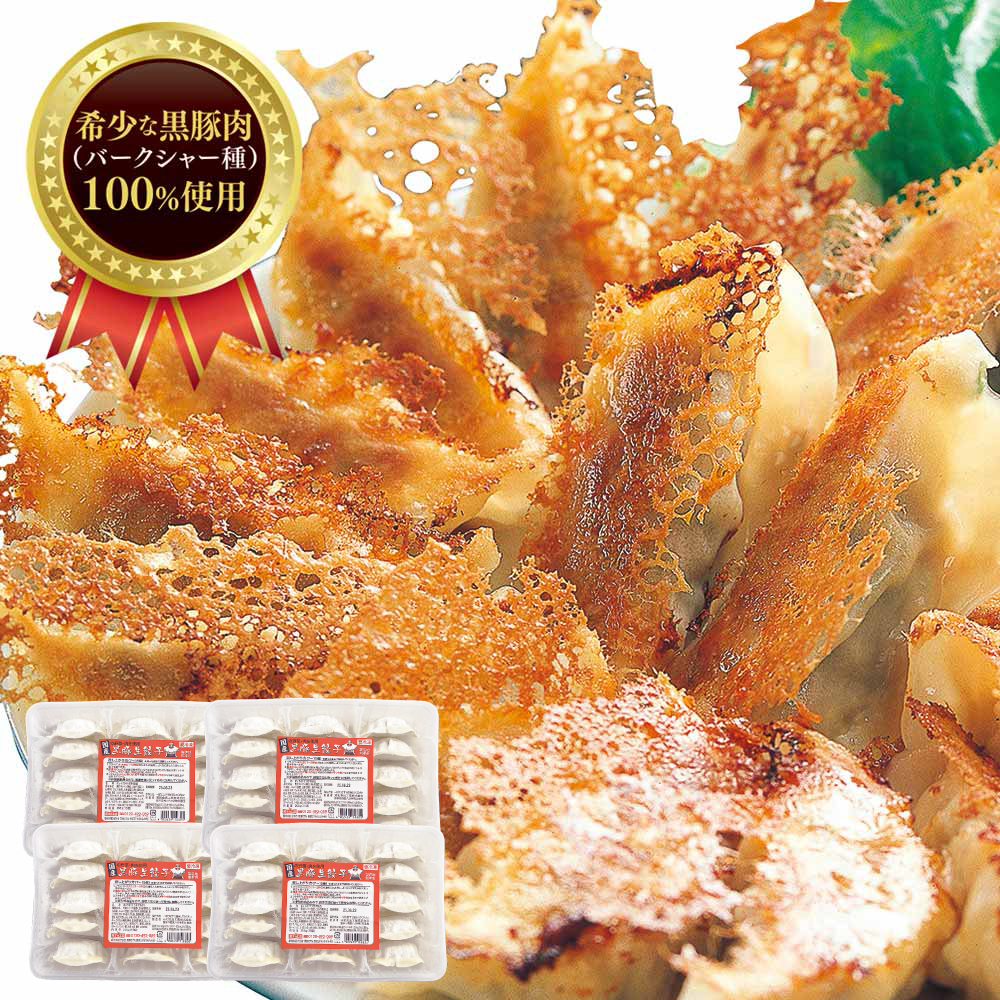 黒豚生餃子 60個(15個入×4パック) 【送料込】