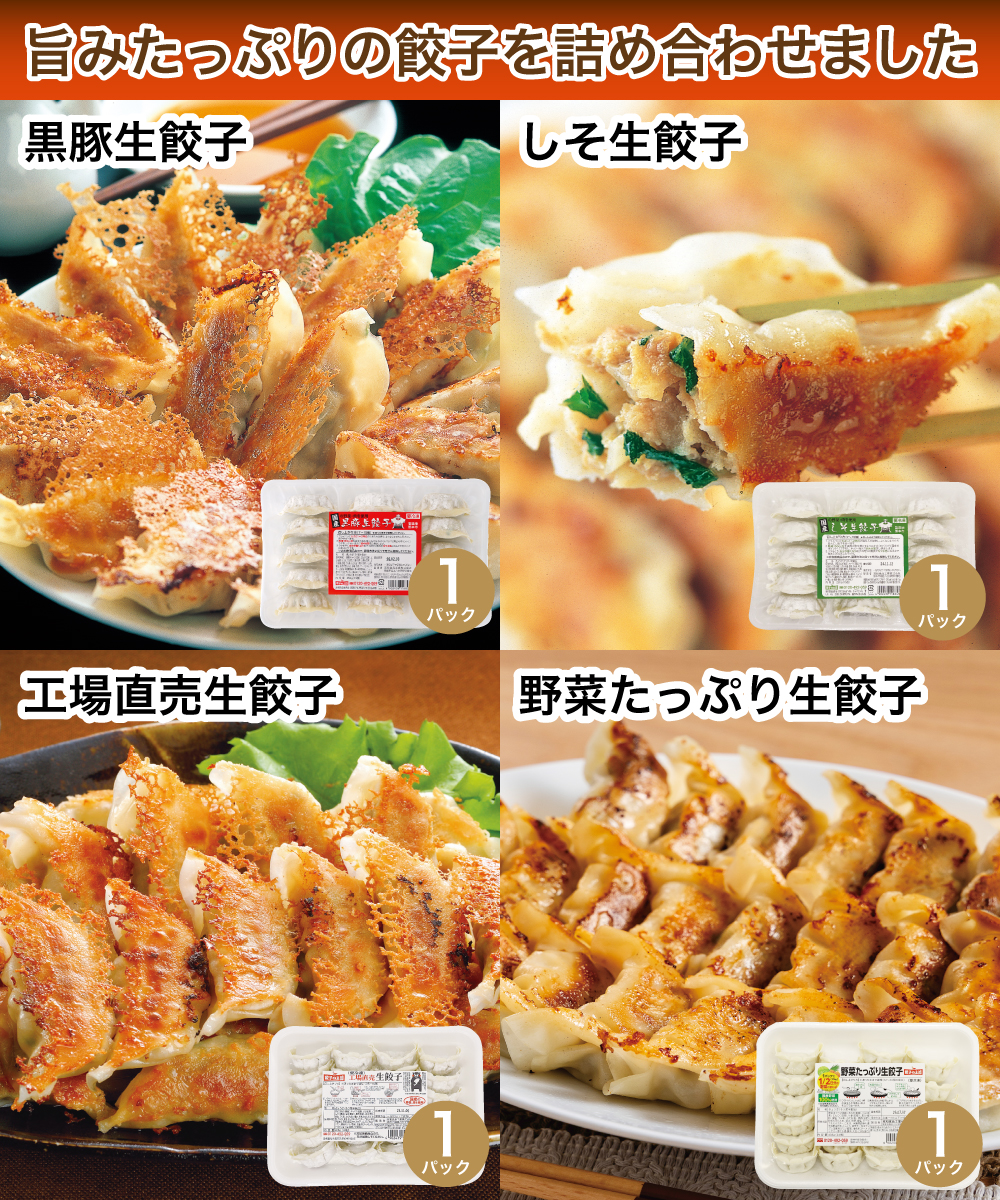 餃子づくしセット【送料込】2月限定特別セット