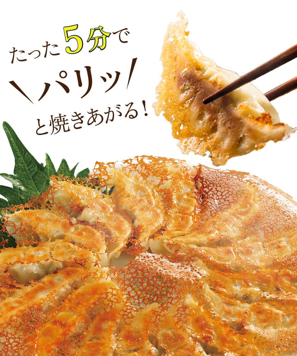 黒豚生餃子 60個(15個入×4パック) 【送料込】