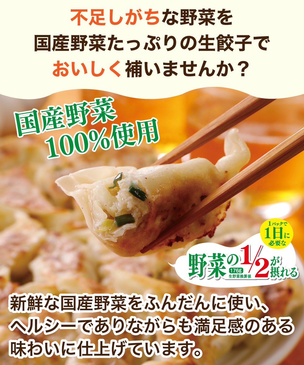 【新商品】 野菜たっぷり生餃子 24個