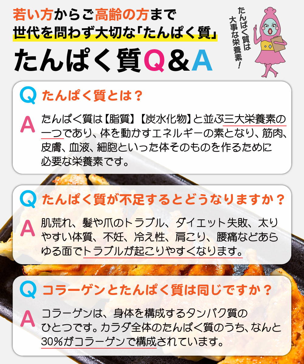 【1割引】 高たんぱく生餃子 15個　『たんぱく質45g入り』 ※4月6日よりご注文受付開始
