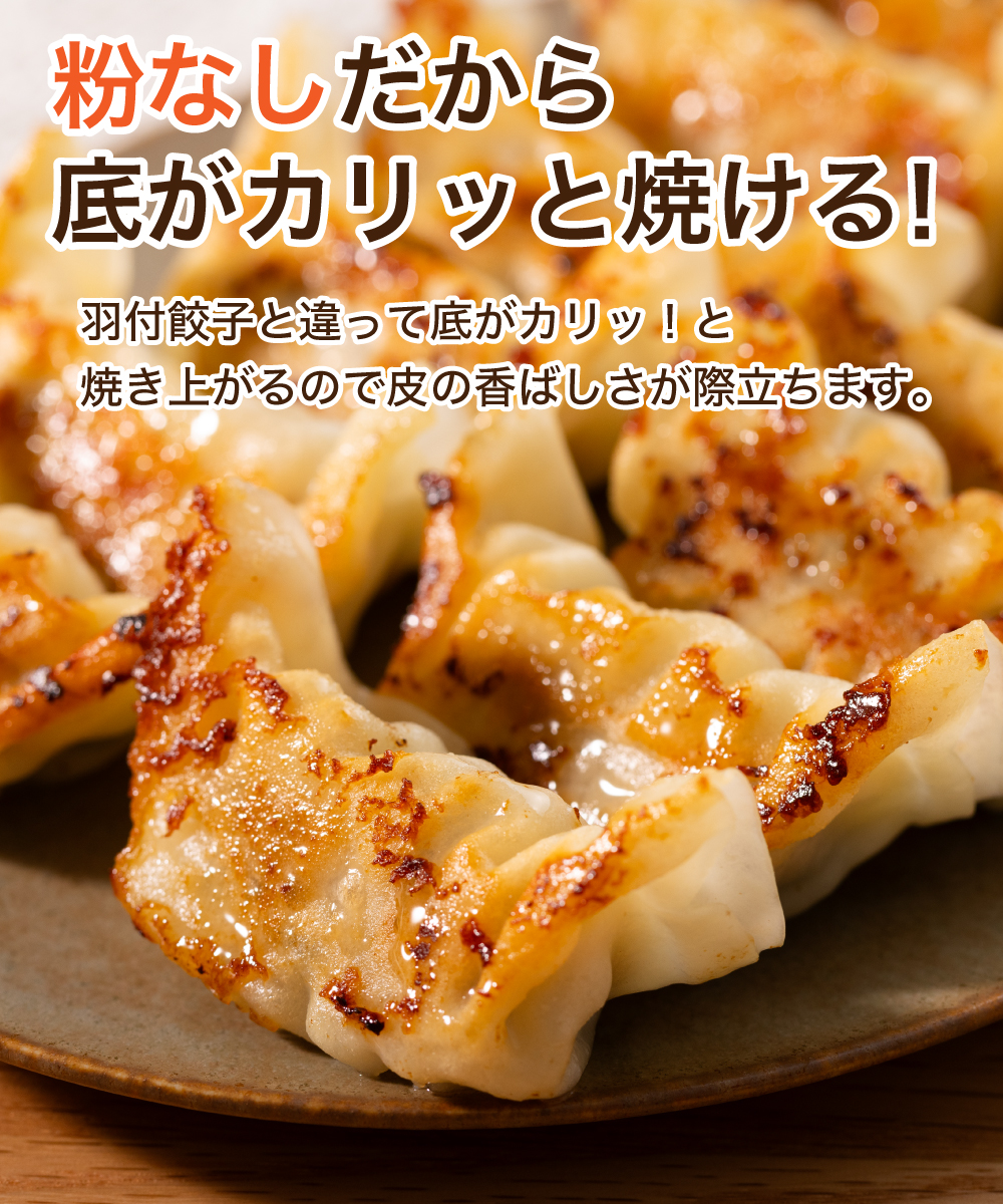 【新商品】 野菜たっぷり生餃子 24個