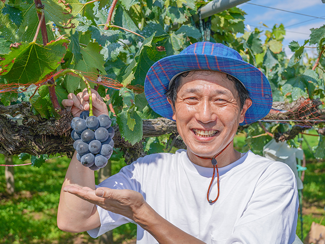 須坂の丸山さんのぶどう「ブラックビート」1kg