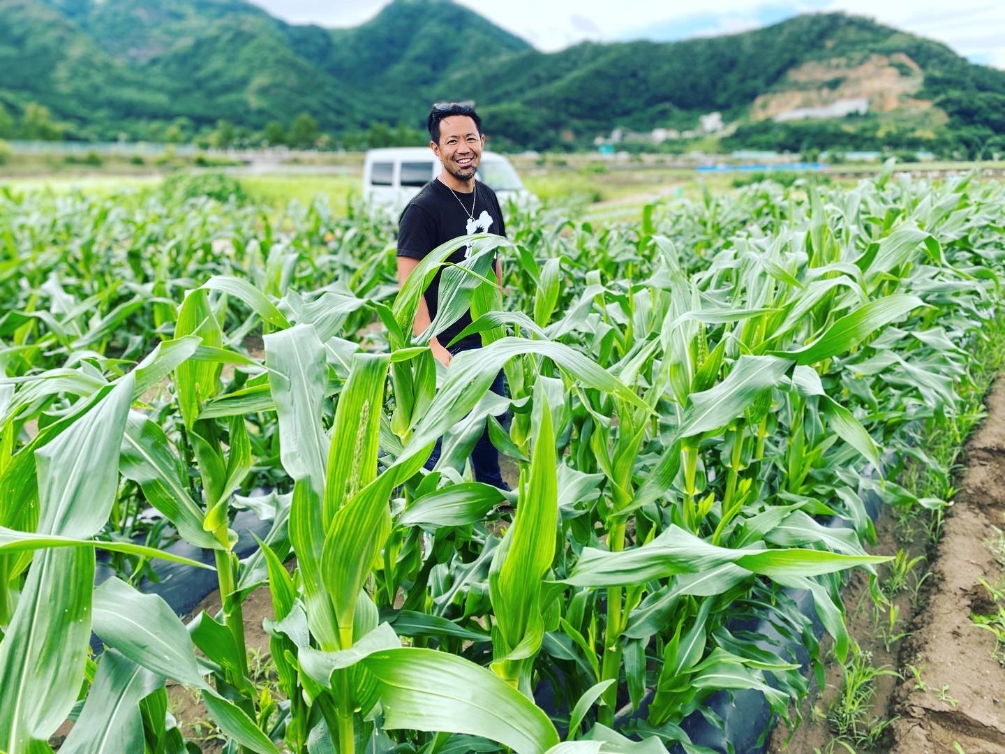 住澤さんのとうもろこし 本数: 5本