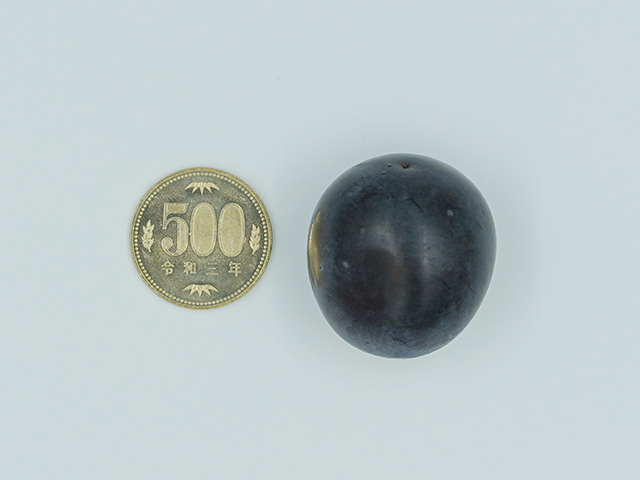 岡田さんの種なし巨峰（露地） 重さ（房数）: 1kg（2～3房）