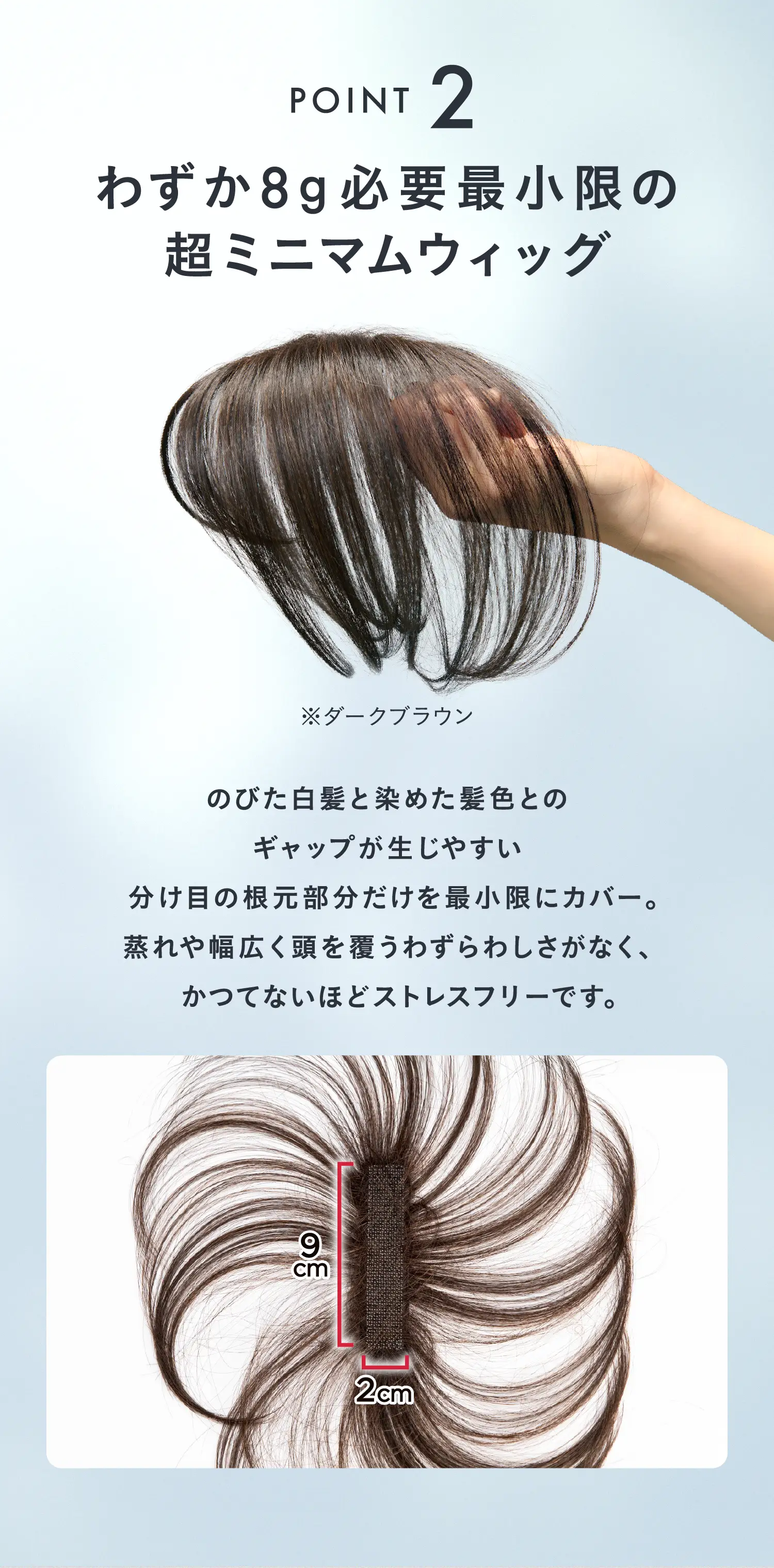 POINT2　わずか8g必要最小限の超ミニマムウィッグ