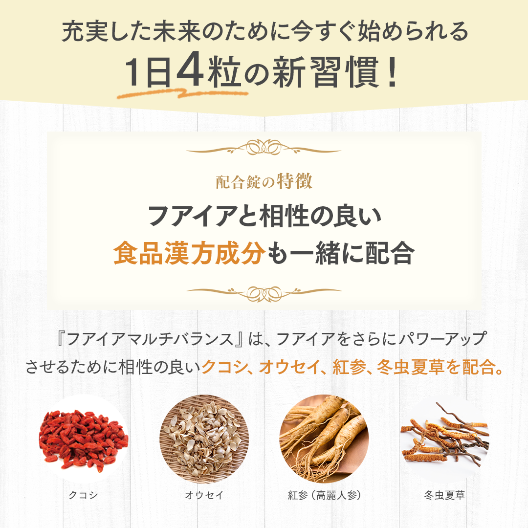 フアイアマルチバランス【単品】