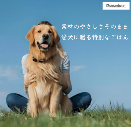 特別定期便【アダルト20㎏（10kg×2）】プリンシプルドッグフード
