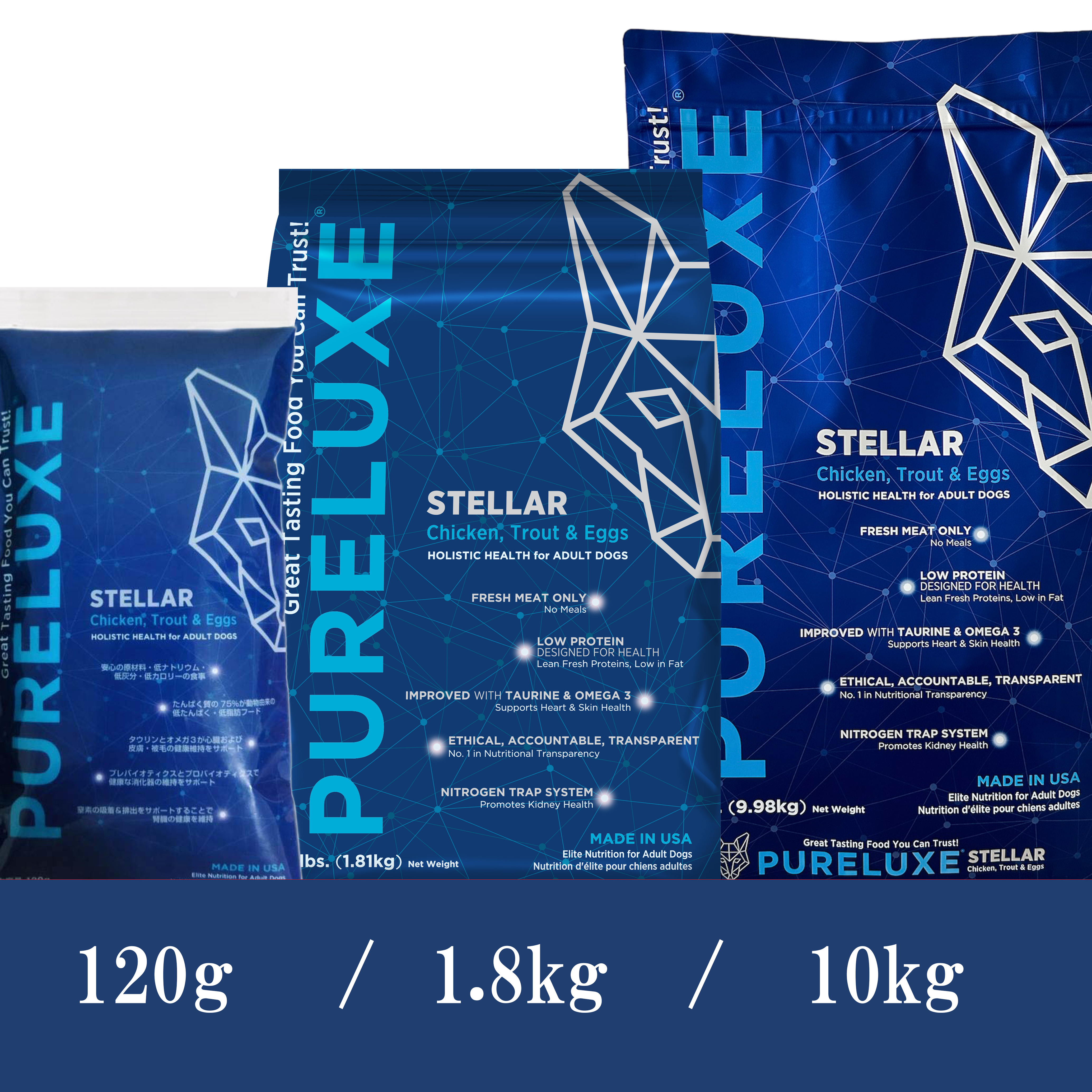 ステラホリスティックヘルス