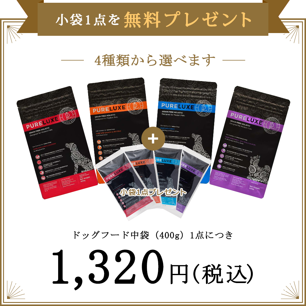 【初回購入の方限定】ドッグフード400g＜お試しフード120g付き＞