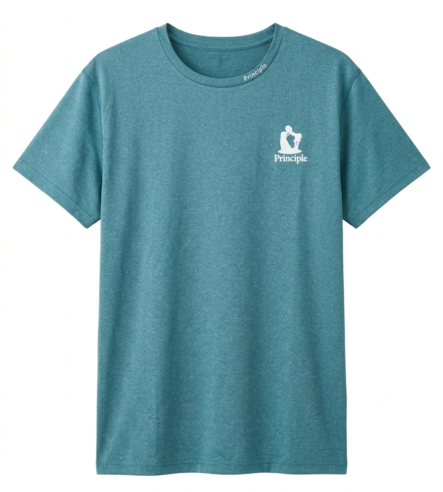オリジナルTシャツ【プリンシプル】前後ロゴ有り サイズ: グレー　M