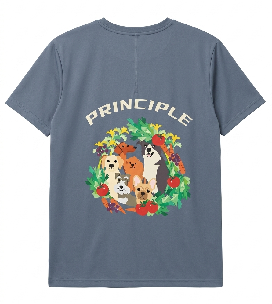 オリジナルTシャツ【プリンシプル】前後ロゴ有り サイズ: グレー　M