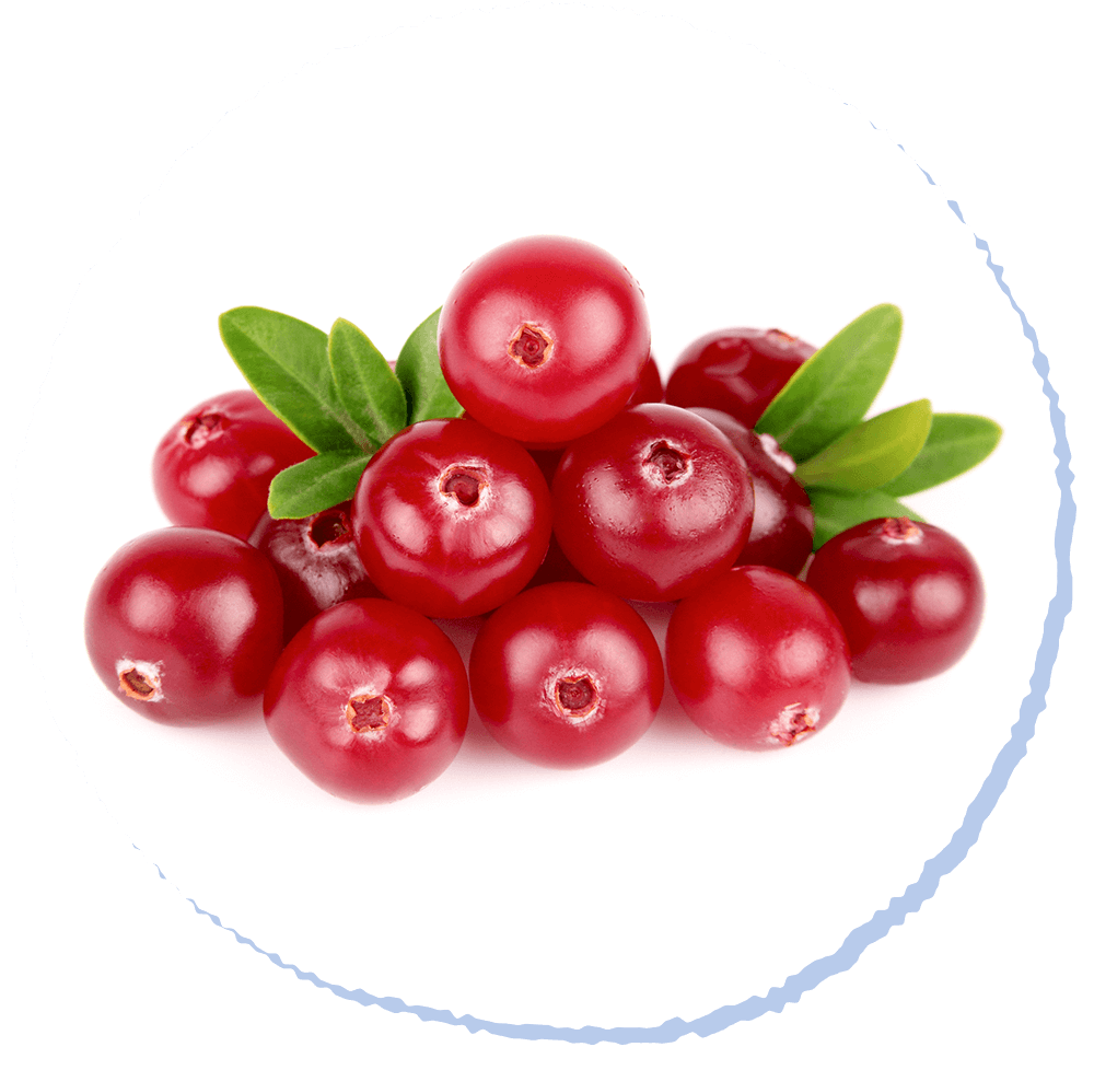 尿路疾患、関節炎・ヘルニア予防にも