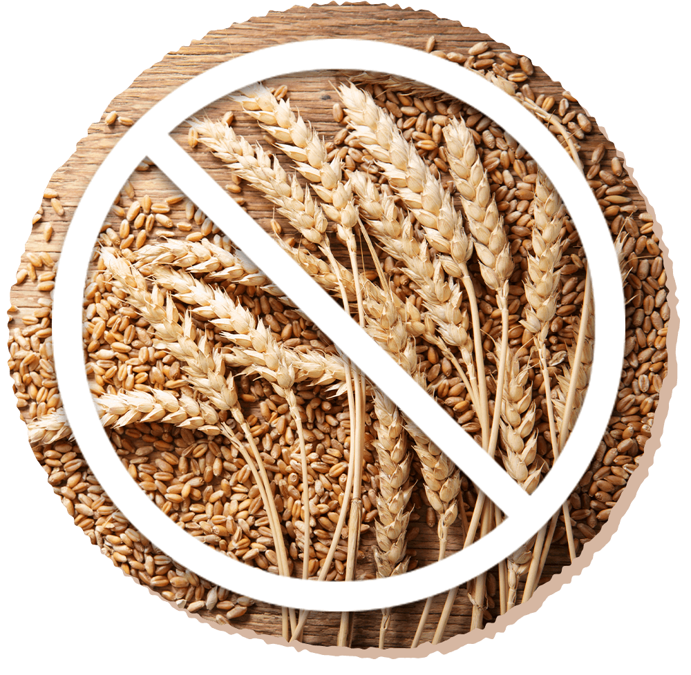 アレルギーや消化不良の原因となる穀物