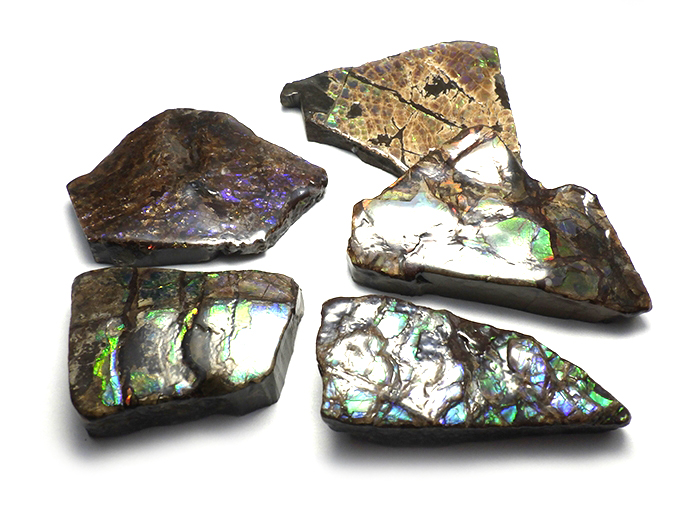 【卸】原石 アンモライト サイズM ランダムピックアップ1個 33x50〜40x60mm前後