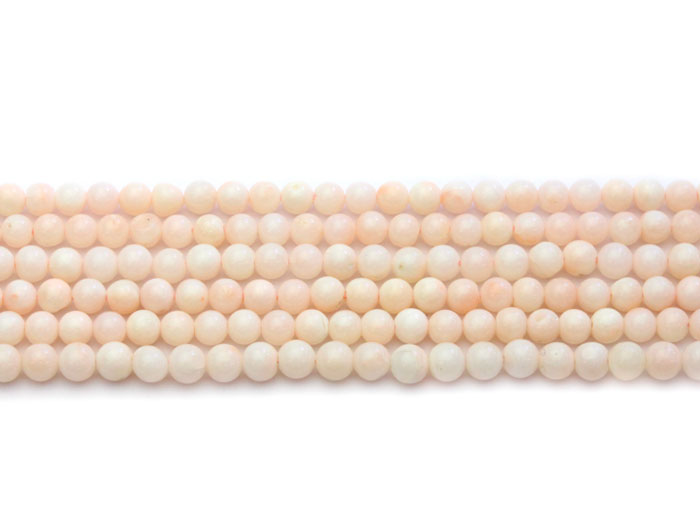 【卸】1連 天然サンゴA 珊瑚