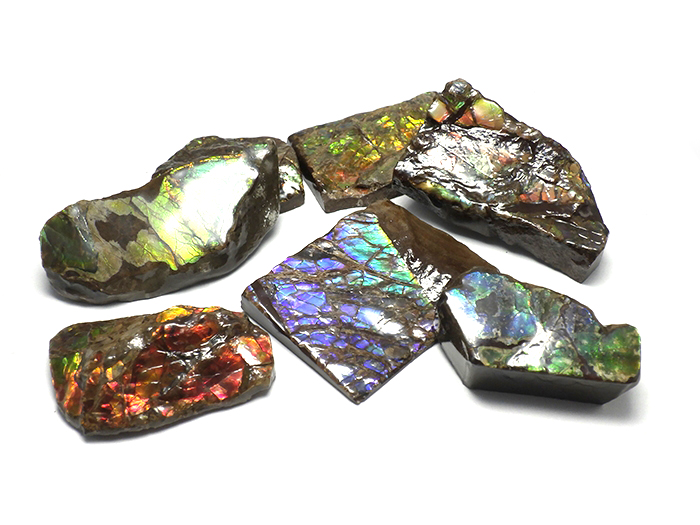 【卸】原石 高品質アンモライト サイズS ランダムピックアップ1個 22x32〜34x47mm前後