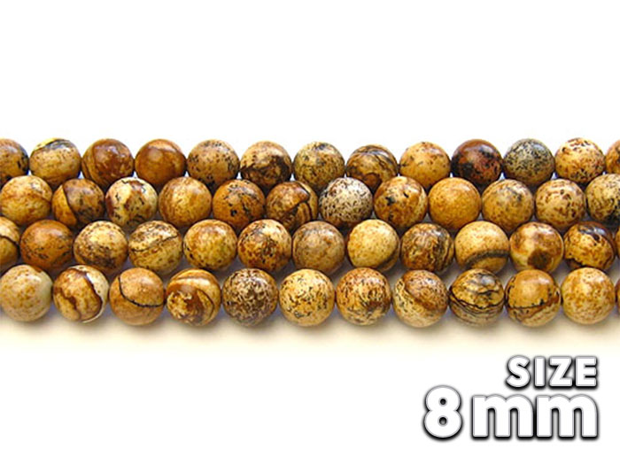 【卸】1連 ピクチャージャスパー