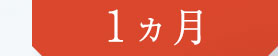 1ヵ月