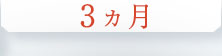 3ヵ月