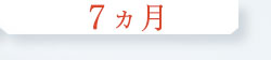 7ヵ月