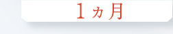 1ヵ月