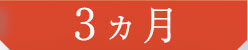 3ヵ月