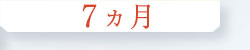 7ヵ月