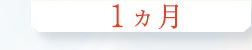 1ヵ月