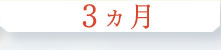 3ヵ月