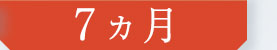 7ヵ月