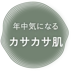 年中気になるカサカサ肌