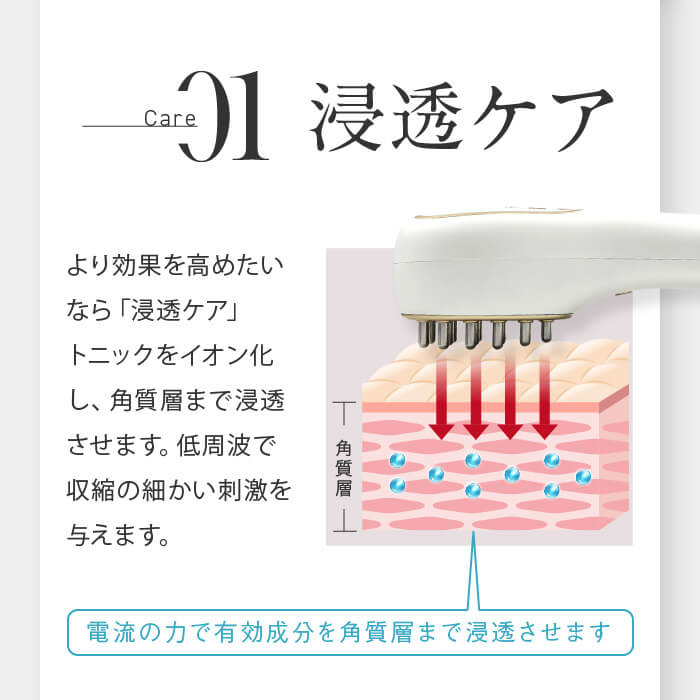 【定額利用サービス】マックセルPRO（キャンペーン1980円）＋初回のみ薬用リーブトニック髪皇プレゼント