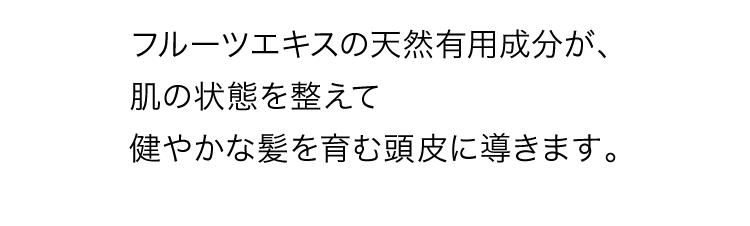 フルーツエキスの天然有用成分が、肌の状態を整えて健やかな髪を育む頭皮に導きます。