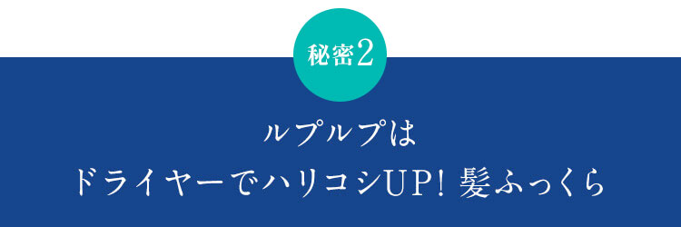 秘密2 ルプルプはドライヤーでハリコシUP！髪ふっくら