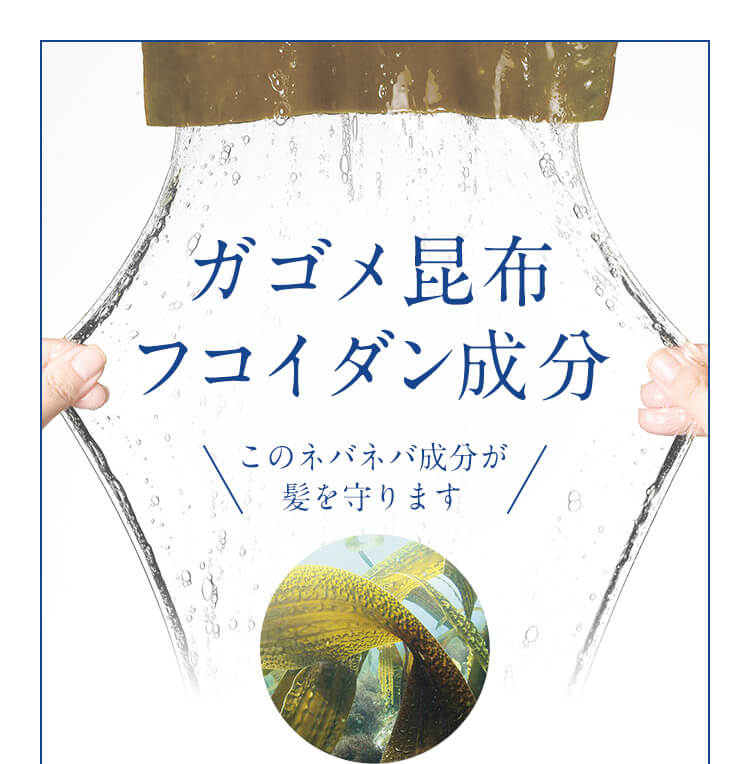 ガゴメ昆布フコイダン成分 このネバネバ成分が髪を守ります