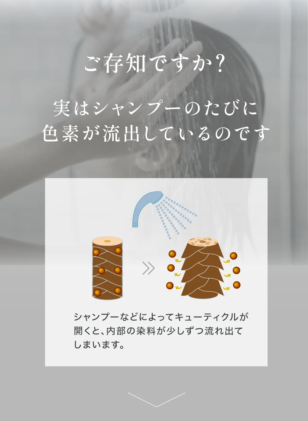 ご存知ですか？実はシャンプーのたびに色素が流出しているのです