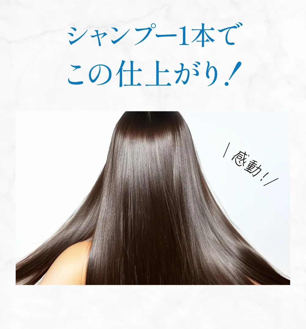 シャンプー１本でこの仕上がり！