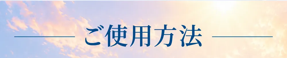ご使用方法