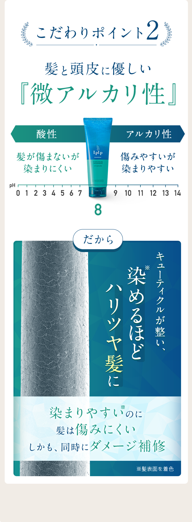 こだわりポイント2