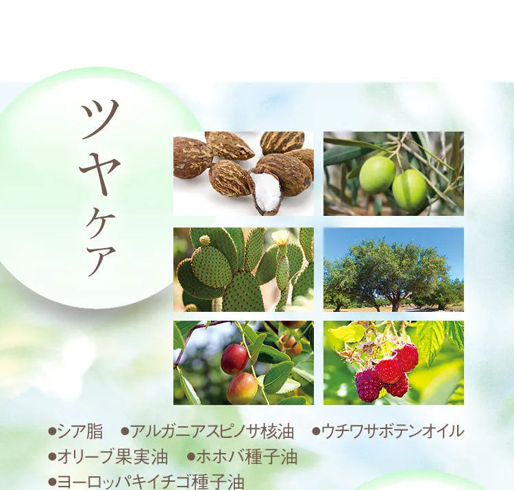 ツヤケア ●シア脂 ●アルガニアスピノサ核油 ●サボテンオイル ●オリーブ果実油 ●ホホバ種子油 ●ヨーロッパキイチゴ種子油