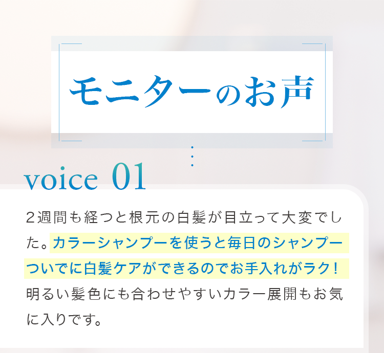 お客様の声