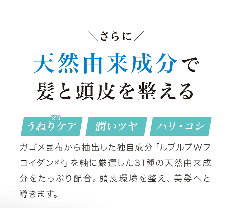 天然由来成分で髪と頭皮を整える