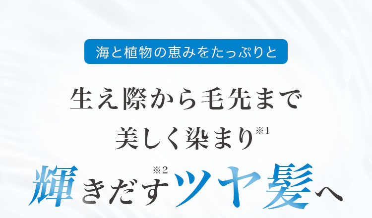 生え際から毛先まで美しく染まり