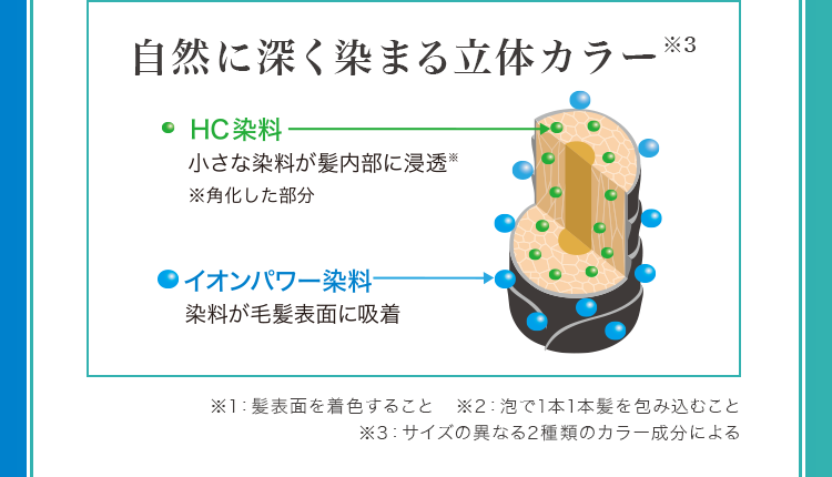 自然に深く染まる立体カラー