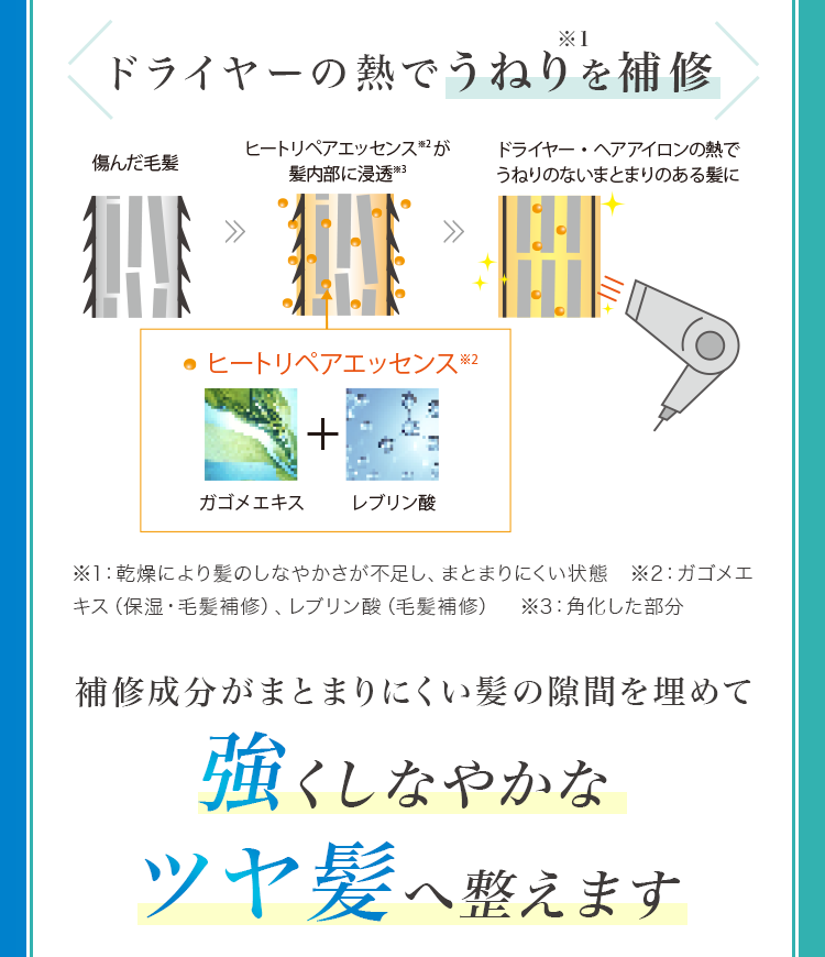 強くしなやかなツヤ髪へ整えます