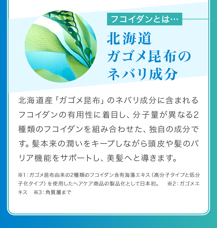 北海道ガゴメ昆布のネバリ成分
