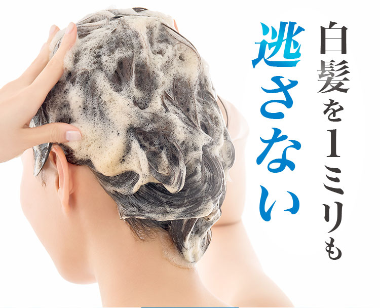 白髪を１ミリも逃さない