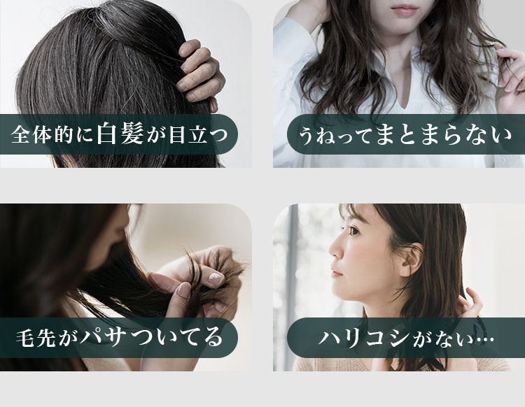 全体的に白髪が目立つ